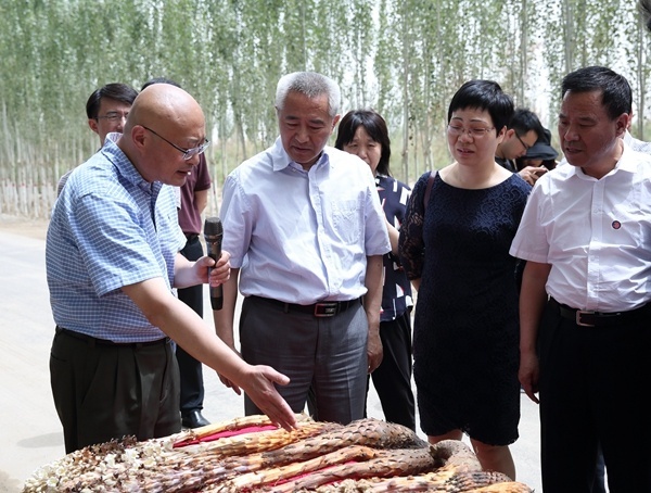 屠鵬飛（左一）向全國政協主席邵鴻（左二）介紹肉蓯蓉藥材.jpg